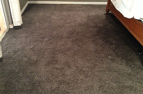 Drying Carpet After Professional Cleaning