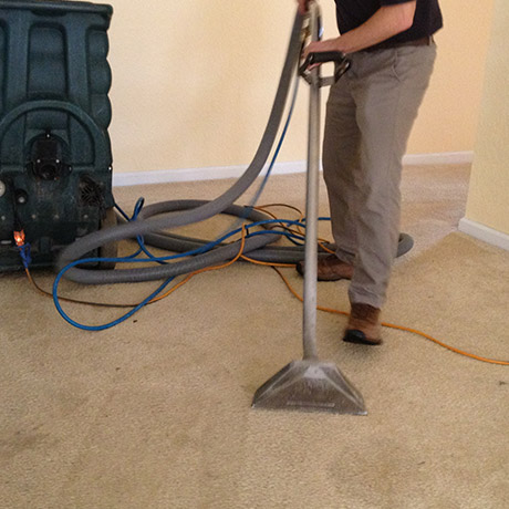 Pre-Vacuum Before Carpet Cleaning