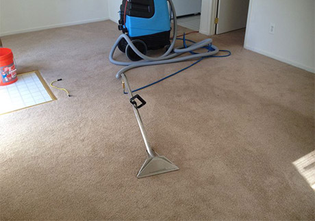 Spot Treatment And Grooming Treatment After Carpet Cleaning