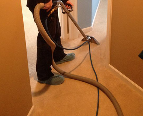 How to Neutralize pH After Carpet Cleaning